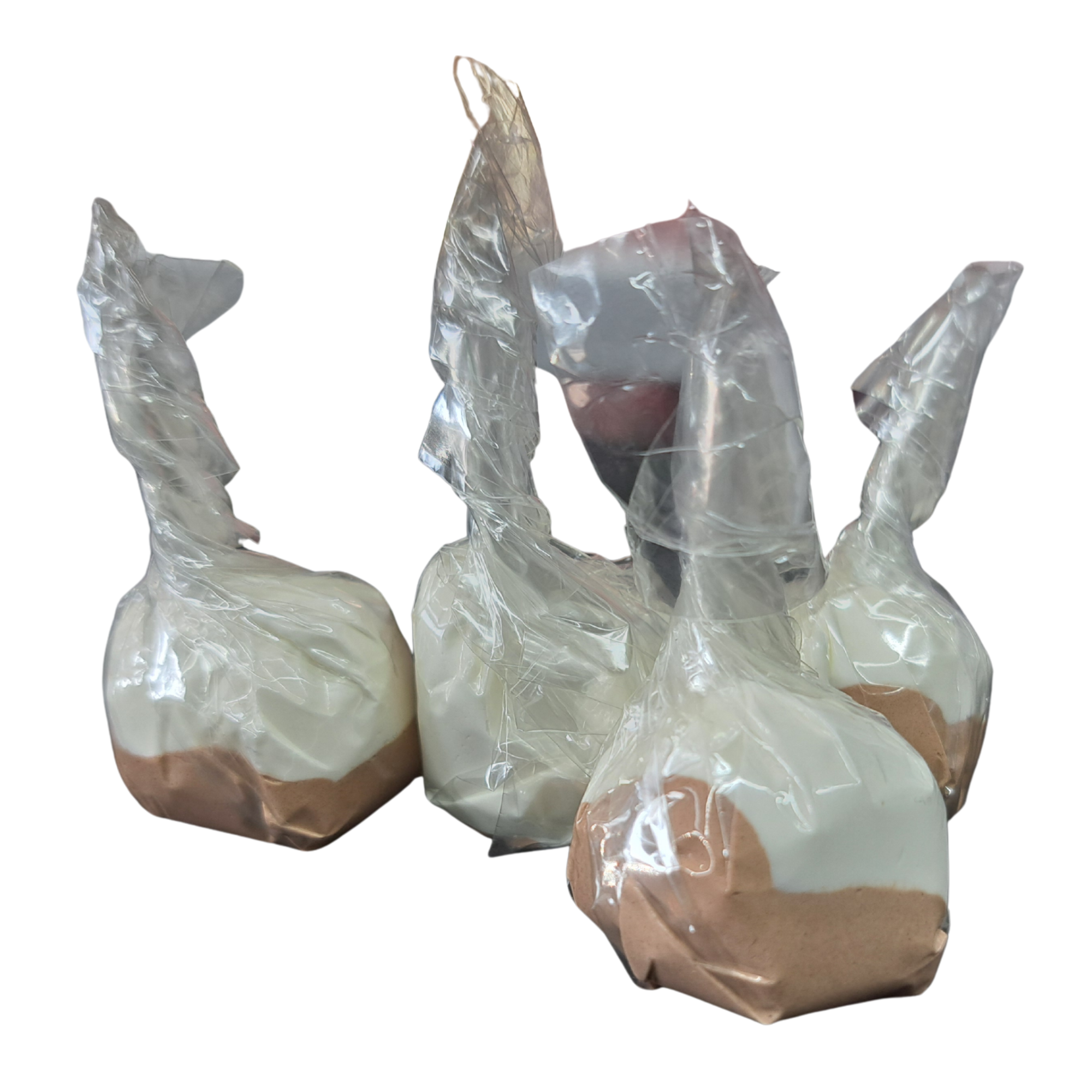 Untitled design_20260302_180041_0000